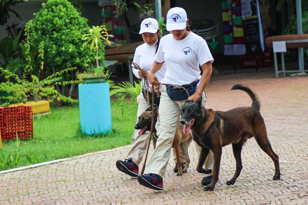 NPA detection dogs